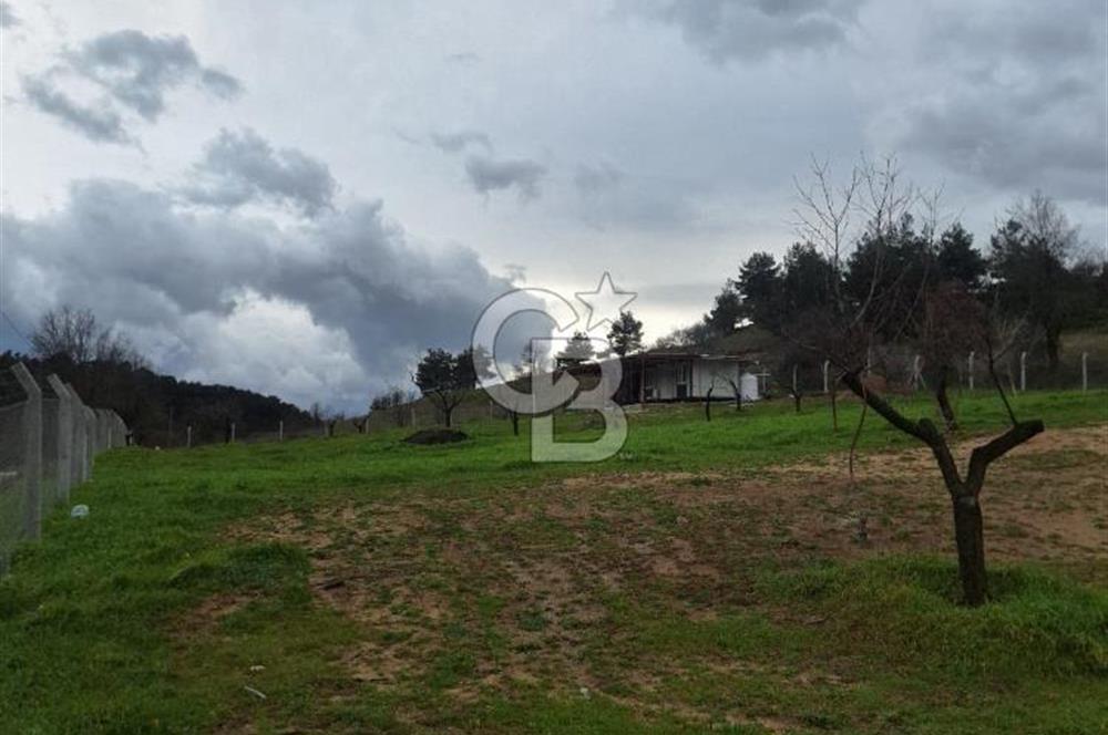 KAZ DAĞLARIN'DA  TAM DONANIMLI MÜSTAKİL DOĞA EVİ