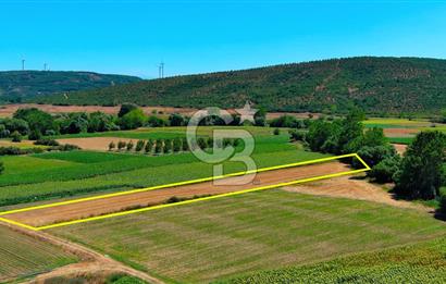 KARACABEY ÇEŞNİGİR DE 1742 METREKARE YATIRIMLIK TARLA