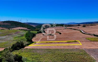 KARACABEY ÇAMLICA DA 2200 METREKARE YATIRIMLIK TARLA