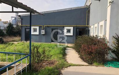 CB KİNG'DEN ORGANİZE SANAYİ BÖLGESİ'NDE 5000m² KİRALIK FABRİKA