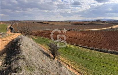 Uşak Eşme Yeleğen'de 33 Dönüm Yola Sıfır Tarla