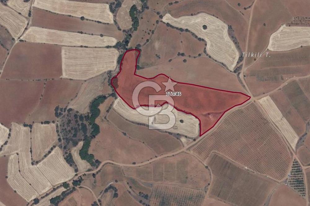 Uşak Eşme Yeleğen'de 33 Dönüm Yola Sıfır Tarla