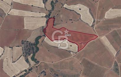 Uşak Eşme Yeleğen'de 33 Dönüm Yola Sıfır Tarla