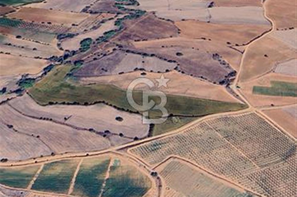 Uşak Eşme Yeleğen'de 33 Dönüm Yola Sıfır Tarla