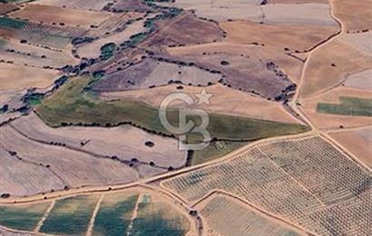 Uşak Eşme Yeleğen'de 33 Dönüm Yola Sıfır Tarla