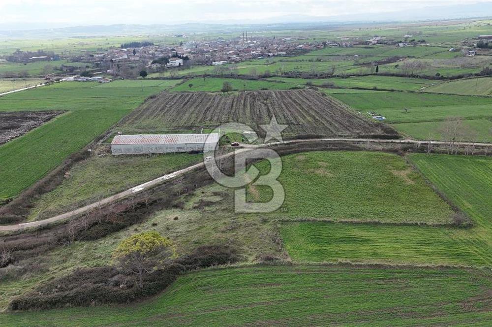 ÇANAKKALE BİGA KOCAGÜR KÖYÜ'NDE SATILIK FIRSAT ÇİFTLİK!!!