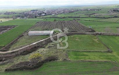 ÇANAKKALE BİGA KOCAGÜR KÖYÜ'NDE SATILIK FIRSAT ÇİFTLİK!!!