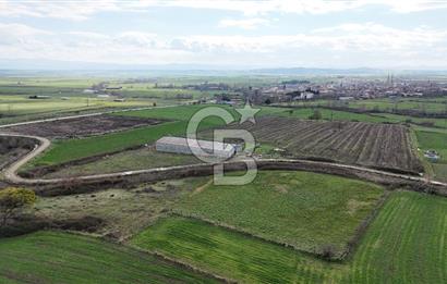 ÇANAKKALE BİGA KOCAGÜR KÖYÜ'NDE SATILIK FIRSAT ÇİFTLİK!!!
