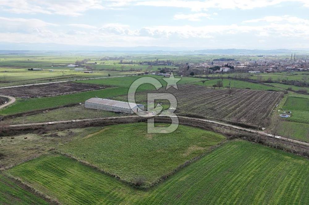 ÇANAKKALE BİGA KOCAGÜR KÖYÜ'NDE SATILIK FIRSAT ÇİFTLİK!!!