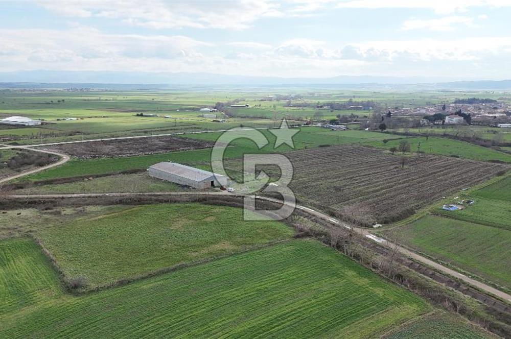 ÇANAKKALE BİGA KOCAGÜR KÖYÜ'NDE SATILIK FIRSAT ÇİFTLİK!!!