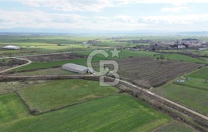 ÇANAKKALE BİGA KOCAGÜR KÖYÜ'NDE SATILIK FIRSAT ÇİFTLİK!!!