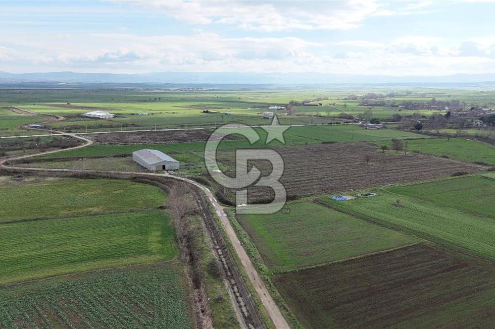 ÇANAKKALE BİGA KOCAGÜR KÖYÜ'NDE SATILIK FIRSAT ÇİFTLİK!!!