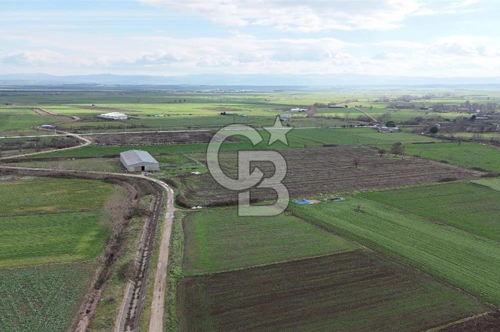 ÇANAKKALE BİGA KOCAGÜR KÖYÜ'NDE SATILIK FIRSAT ÇİFTLİK!!!