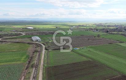 ÇANAKKALE BİGA KOCAGÜR KÖYÜ'NDE SATILIK FIRSAT ÇİFTLİK!!!