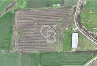 ÇANAKKALE BİGA KOCAGÜR KÖYÜ'NDE SATILIK FIRSAT ÇİFTLİK!!! - 10 - 333065