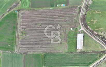 ÇANAKKALE BİGA KOCAGÜR KÖYÜ'NDE SATILIK FIRSAT ÇİFTLİK!!!