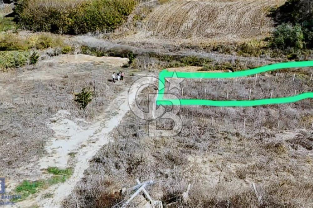 ÇATALCA OVAYENİCE SATILIK HİSSELİ MUVAFAKATNAMELİ 357 M2 TARLA