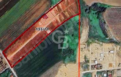 ÇATALCA OVAYENİCE SATILIK HİSSELİ MUVAFAKATNAMELİ 357 M2 TARLA