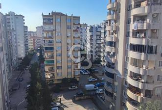 ali sepici satılık - 6 - 333025