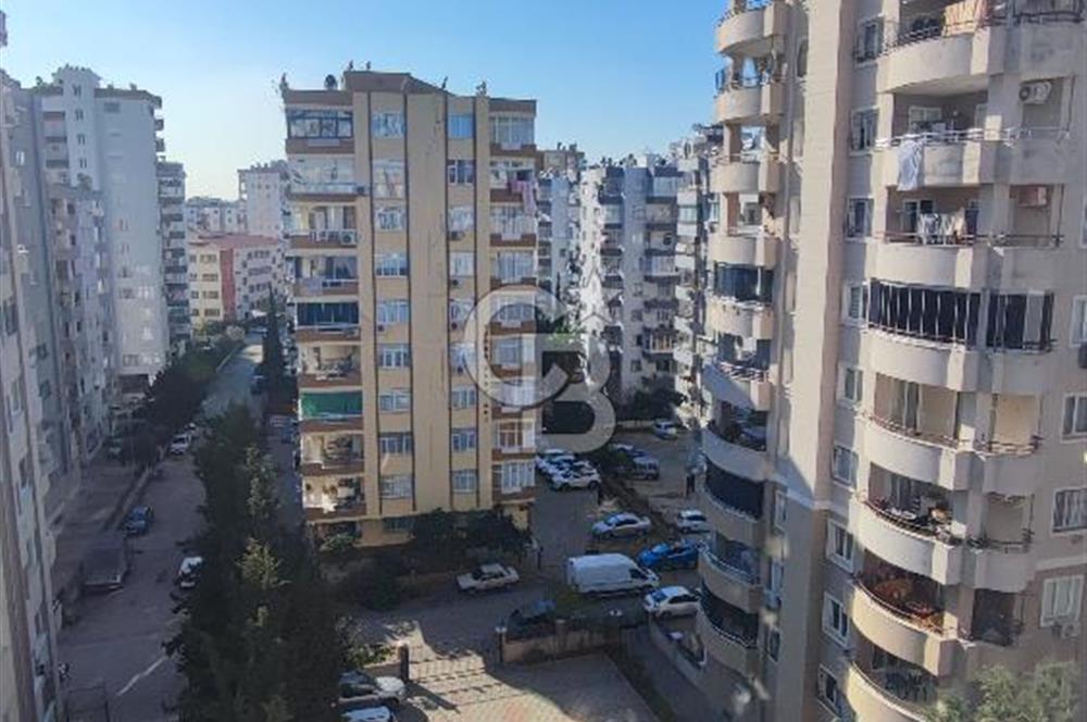 ali sepici satılık