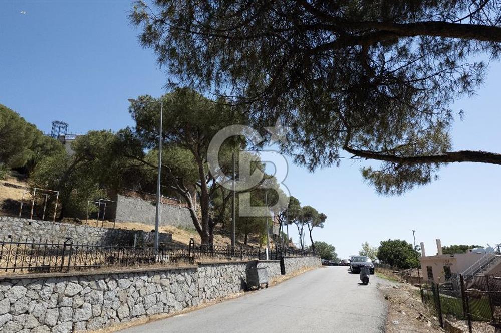 Ayvalık Merkez Satılık Deniz Manzaralı Arsa