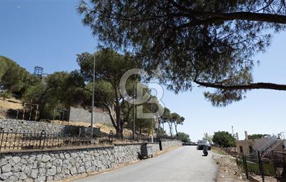 Ayvalık Merkez Satılık Deniz Manzaralı Arsa