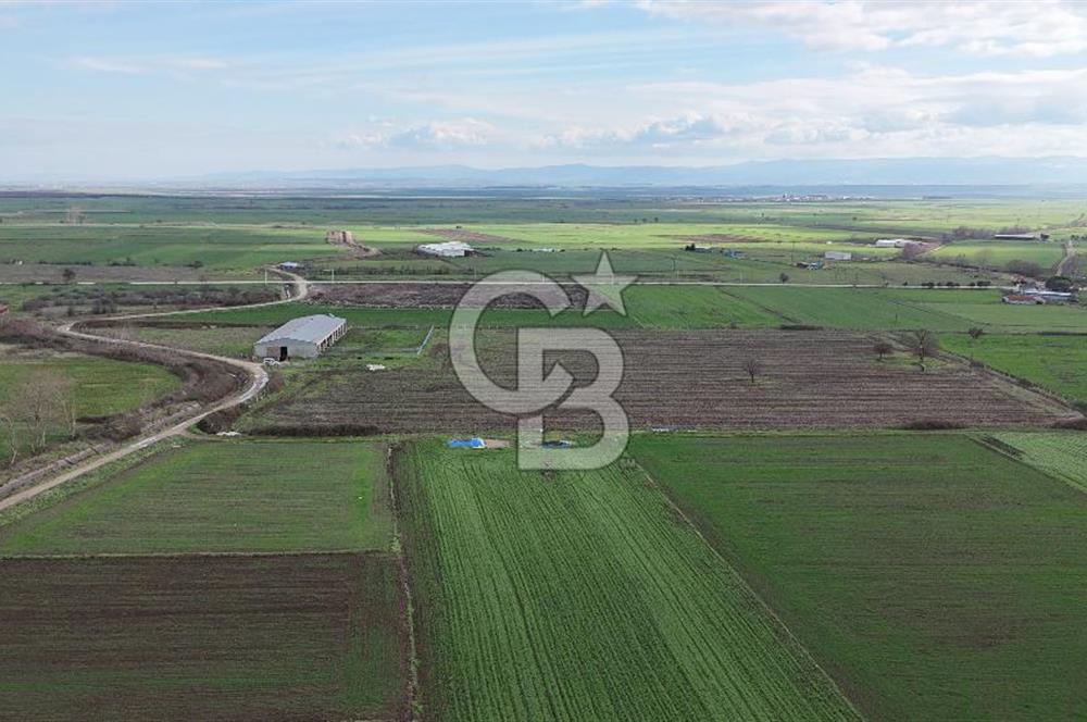 ÇANAKKALE BİGA KOCAGÜR KÖYÜ'NDE SATILIK FIRSAT ÇİFTLİK!!!