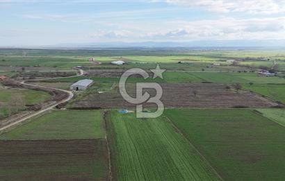 ÇANAKKALE BİGA KOCAGÜR KÖYÜ'NDE SATILIK FIRSAT ÇİFTLİK!!!