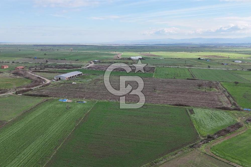ÇANAKKALE BİGA KOCAGÜR KÖYÜ'NDE SATILIK FIRSAT ÇİFTLİK!!!