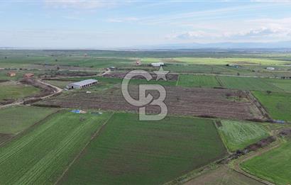 ÇANAKKALE BİGA KOCAGÜR KÖYÜ'NDE SATILIK FIRSAT ÇİFTLİK!!!