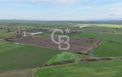 ÇANAKKALE BİGA KOCAGÜR KÖYÜ'NDE SATILIK FIRSAT ÇİFTLİK!!!