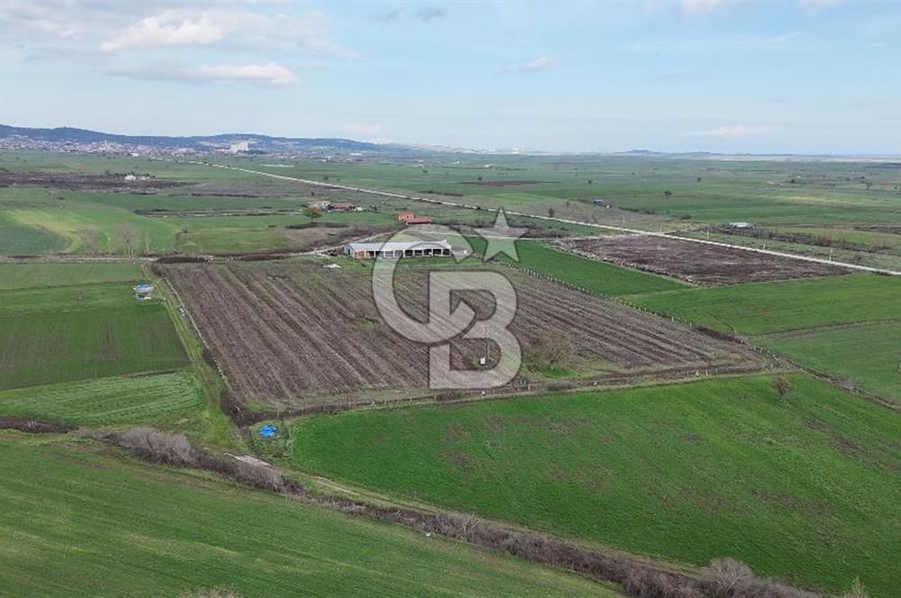 ÇANAKKALE BİGA KOCAGÜR KÖYÜ'NDE SATILIK FIRSAT ÇİFTLİK!!!