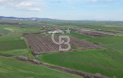 ÇANAKKALE BİGA KOCAGÜR KÖYÜ'NDE SATILIK FIRSAT ÇİFTLİK!!!