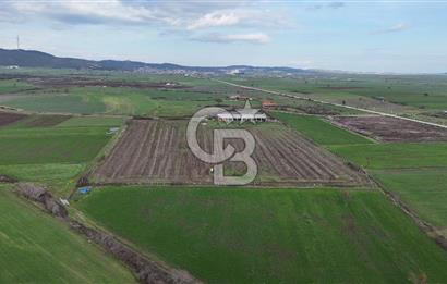 ÇANAKKALE BİGA KOCAGÜR KÖYÜ'NDE SATILIK FIRSAT ÇİFTLİK!!!