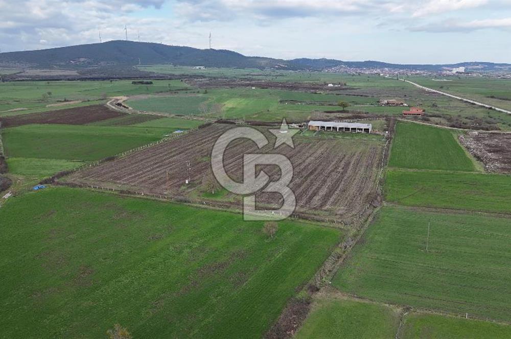 ÇANAKKALE BİGA KOCAGÜR KÖYÜ'NDE SATILIK FIRSAT ÇİFTLİK!!!