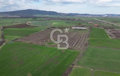 ÇANAKKALE BİGA KOCAGÜR KÖYÜ'NDE SATILIK FIRSAT ÇİFTLİK!!!