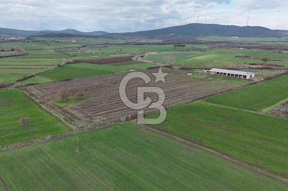 ÇANAKKALE BİGA KOCAGÜR KÖYÜ'NDE SATILIK FIRSAT ÇİFTLİK!!!