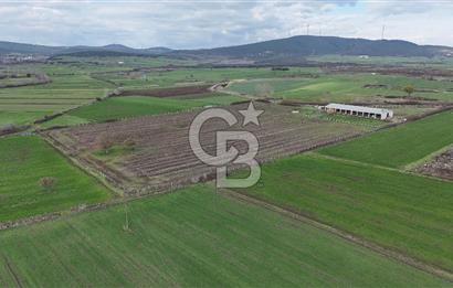 ÇANAKKALE BİGA KOCAGÜR KÖYÜ'NDE SATILIK FIRSAT ÇİFTLİK!!!