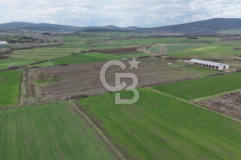 ÇANAKKALE BİGA KOCAGÜR KÖYÜ'NDE SATILIK FIRSAT ÇİFTLİK!!!