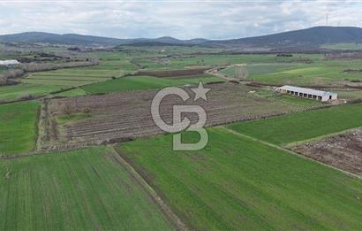 ÇANAKKALE BİGA KOCAGÜR KÖYÜ'NDE SATILIK FIRSAT ÇİFTLİK!!!
