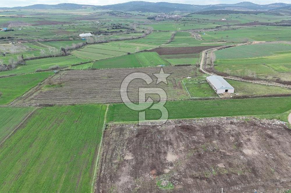 ÇANAKKALE BİGA KOCAGÜR KÖYÜ'NDE SATILIK FIRSAT ÇİFTLİK!!!