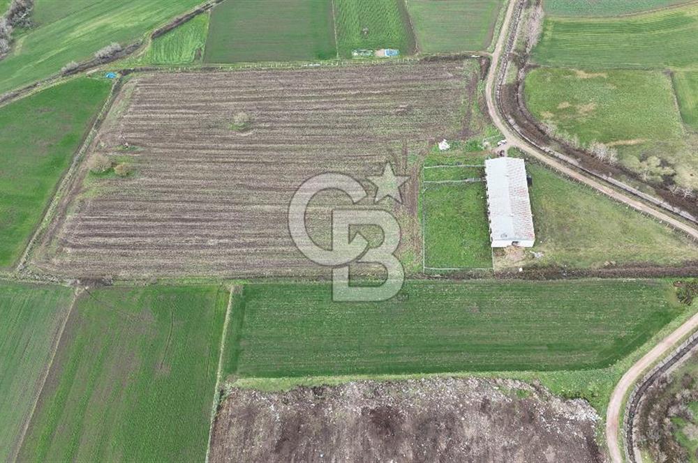 ÇANAKKALE BİGA KOCAGÜR KÖYÜ'NDE SATILIK FIRSAT ÇİFTLİK!!!