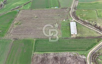 ÇANAKKALE BİGA KOCAGÜR KÖYÜ'NDE SATILIK FIRSAT ÇİFTLİK!!!