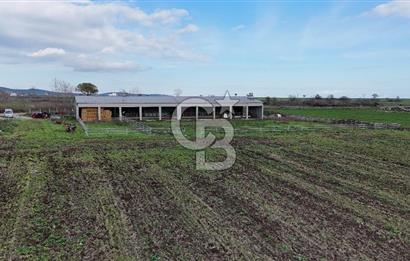 ÇANAKKALE BİGA KOCAGÜR KÖYÜ'NDE SATILIK FIRSAT ÇİFTLİK!!!