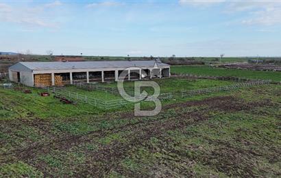 ÇANAKKALE BİGA KOCAGÜR KÖYÜ'NDE SATILIK FIRSAT ÇİFTLİK!!!