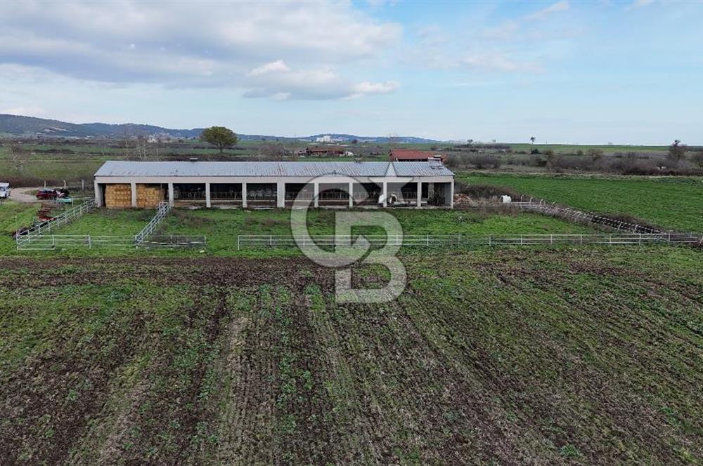 ÇANAKKALE BİGA KOCAGÜR KÖYÜ'NDE SATILIK FIRSAT ÇİFTLİK!!!