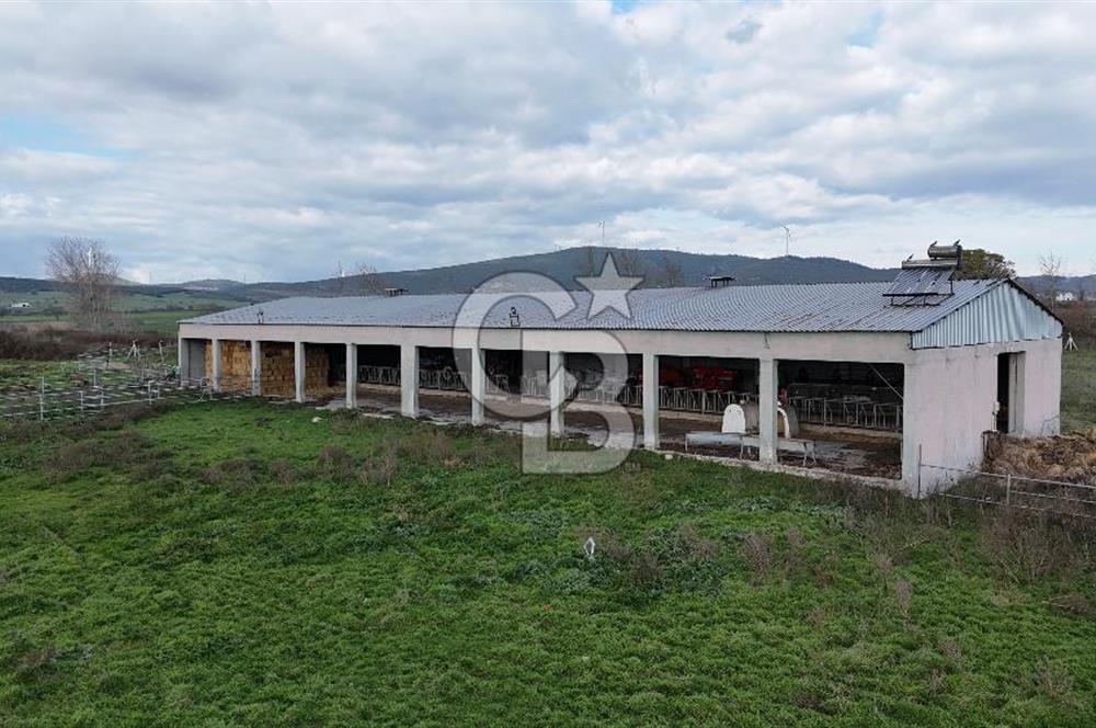 ÇANAKKALE BİGA KOCAGÜR KÖYÜ'NDE SATILIK FIRSAT ÇİFTLİK!!!