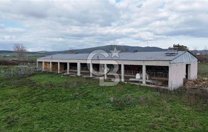 ÇANAKKALE BİGA KOCAGÜR KÖYÜ'NDE SATILIK FIRSAT ÇİFTLİK!!!