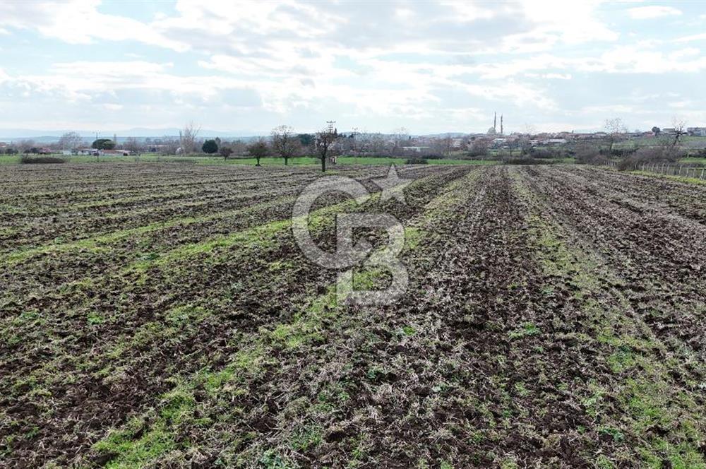 ÇANAKKALE BİGA KOCAGÜR KÖYÜ'NDE SATILIK FIRSAT ÇİFTLİK!!!