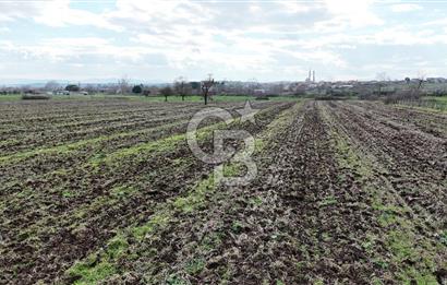 ÇANAKKALE BİGA KOCAGÜR KÖYÜ'NDE SATILIK FIRSAT ÇİFTLİK!!!